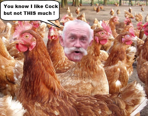 CrashWithCock.jpg