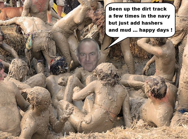 Dangles-PigInMud.jpg