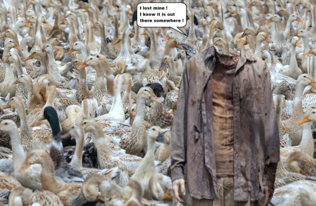 DuckHeadLost.jpg