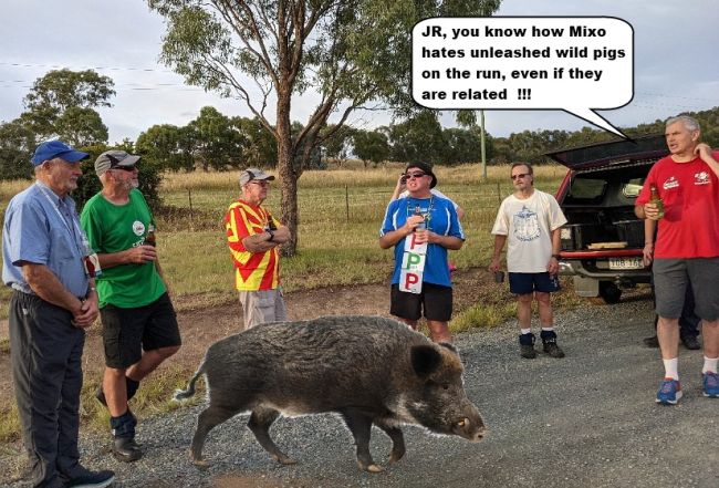 Duffy-WildPigs.jpg