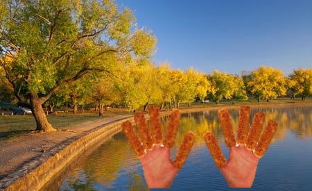 FishFingers-BowenPark.jpg
