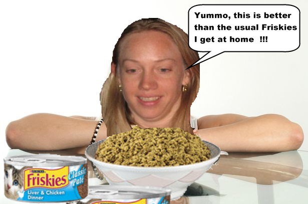Friskies.jpg