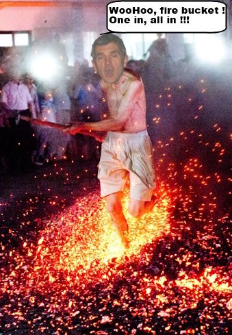 Gerbils-FireBucket.jpg