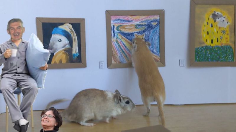 Gerbils-Gere.jpg