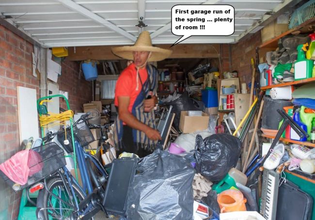 Gerbils-SpringClean.jpg