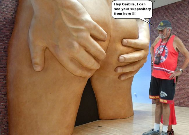 Gerbils-Suppository.jpg