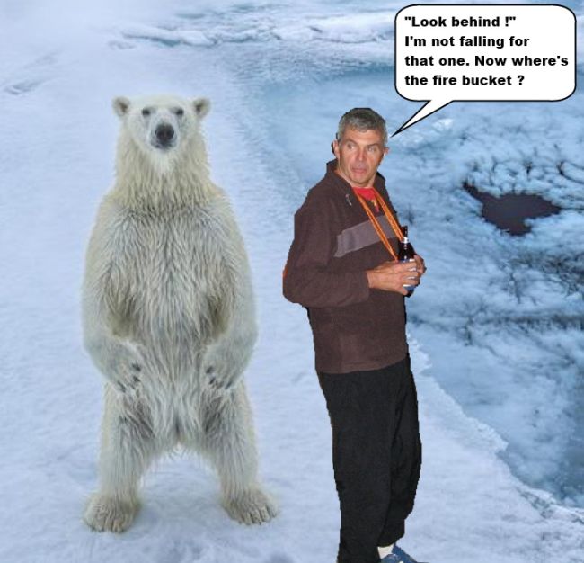 GerbilsAndBear.jpg