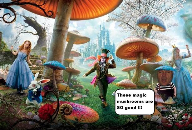 GerbilsInWonderland.jpg