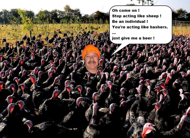 Gobbles-Individual.jpg