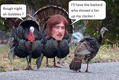 Gobbles.jpg