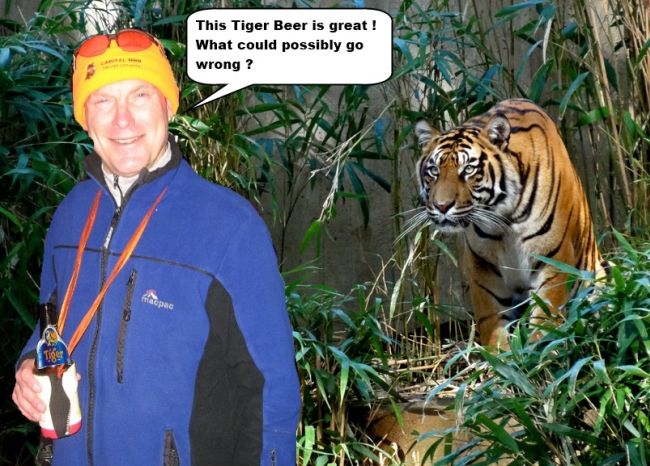HiddenFlagonOnTiger.jpg
