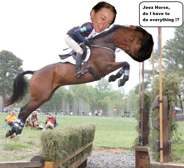 HorseOnWeatherman.jpg