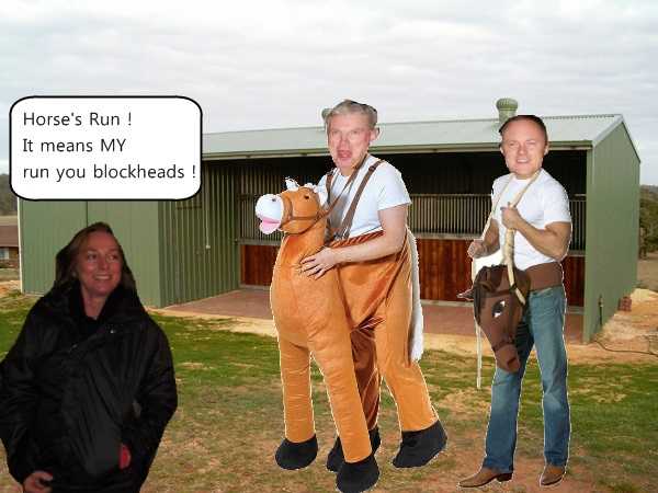 HorsesRun.jpg