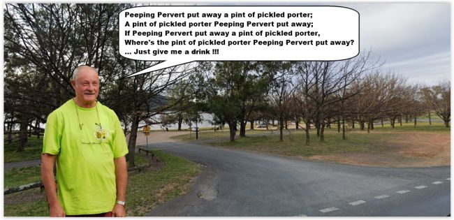 PP-PickledPorter.jpg