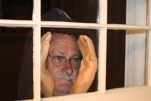 PP-Window.jpg
