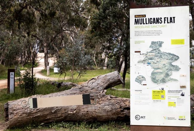 PV-MulligansFlat.jpg
