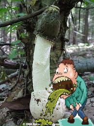 PhallusVomit.jpg