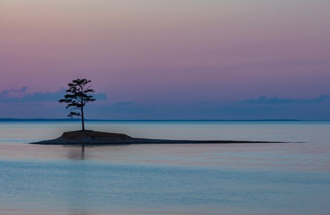 PineIsland.jpg