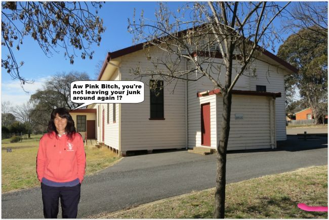 PinkBitch-Junk.jpg