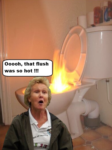 PopTart-Flushes.jpg