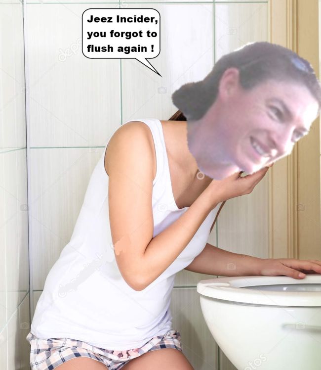 QL-Bog.jpg