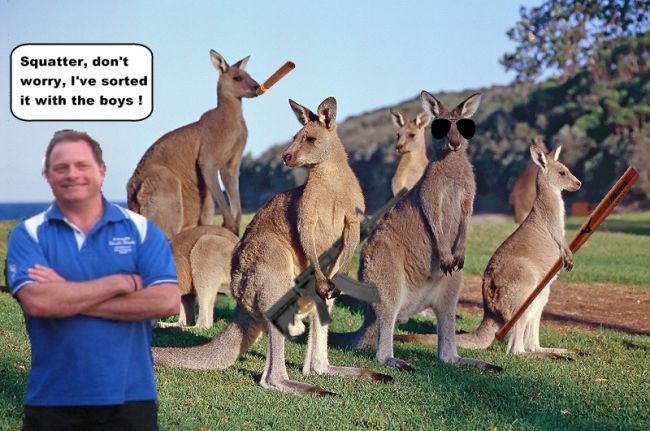 ScarletsRoos.jpg
