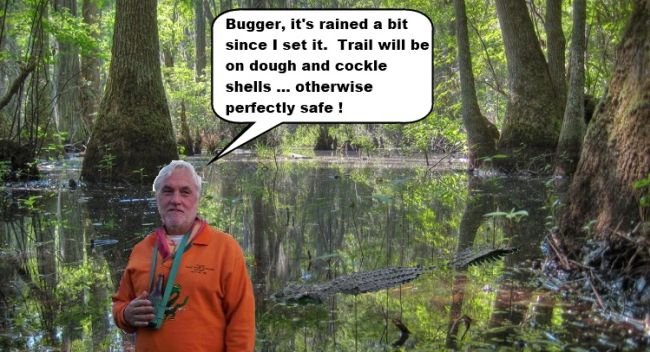 SquatterSwamp.jpg