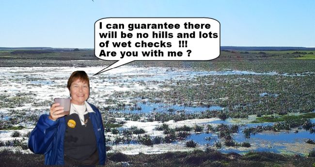 SuEllen-Wetlands.jpg