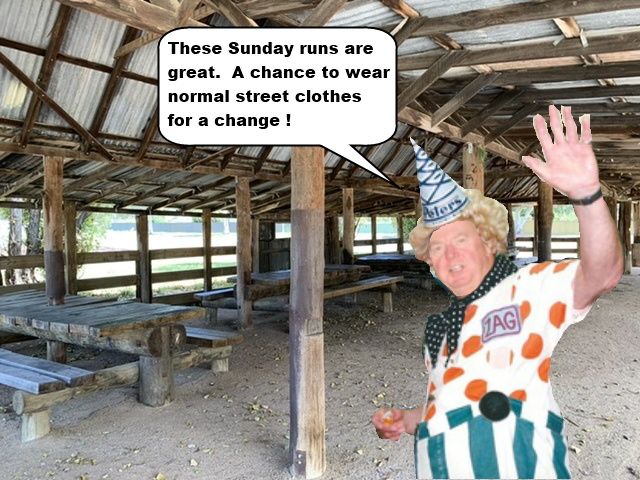 Sunbean-Zag.jpg