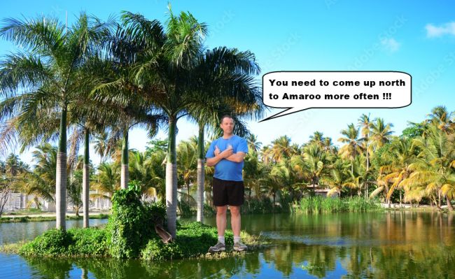 ToyBoy-AmarooIsland.jpg